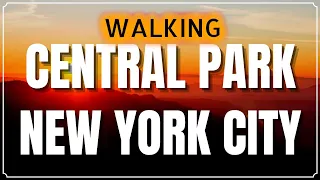 Walking Central Park New York City - Fall 2021