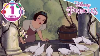 Snow White | I'm Wishing | Disney Princess