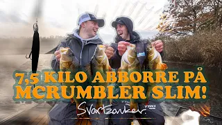 7,5 Kilo Abborre på McRumbler Slim! [ENG SUBS]