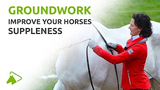 Groundwork Exercises for Your Horse | Leading, Lunging and Liberty Training | wehorse