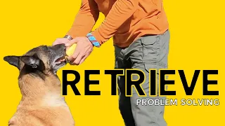 Fixing Problems Teaching Your DOG Retrieve FETCH - Robert Cabral Dog Training Video