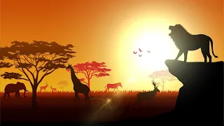 THE CIRCLE OF LIFE  |  Meditation Music, Calming, Lion King Soundtrack, Elton John