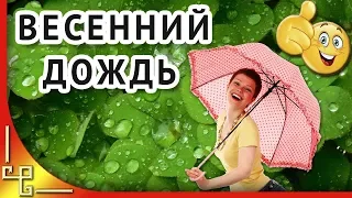 Весенний дождь. Позитив для друзей. Красивая музыка для души