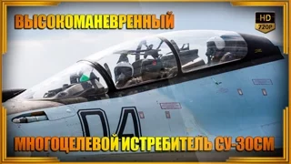 СУ-30СМ - высокоманевренный многоцелевой истребитель ВКС России