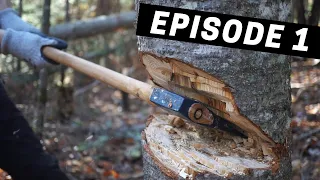 Building A Log Cabin | Ep. 1 | Felling & Debarking Our First Tree