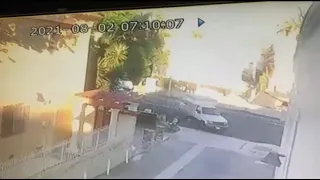 Fatal Hit-and-Run