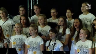 Salve Regina - Schola brněnské mládeže, SDM Krakov 2016