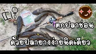 เทคนิคการตกปลาช่อน ด้วยปลายาง by fishingEZ