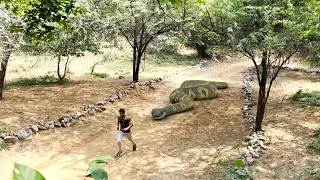 Anaconda Snake 6 In Real Life HD Video