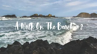 A Walk On The Beach #3 | Seal Rock Oregon