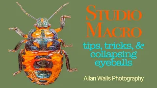 Studio Macro - tips, tricks, and collapsed eyeballs