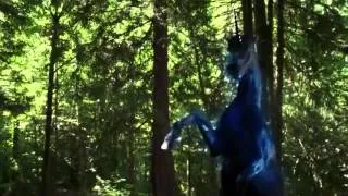 Once upon a time s02e05 "Take it's heart"