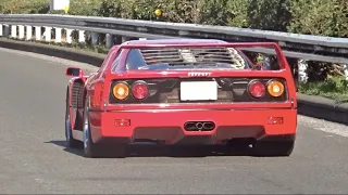 【大黒PA】スーパーカー加速サウンド／Supercars sound in Japan. F40, 812, Aventador, Huracan, more!