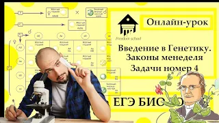 Введение в генетику. Законы Менделя. Решаем задания 4 ЕГЭ 2023|ЕГЭ БИОЛОГИЯ|Freedom|