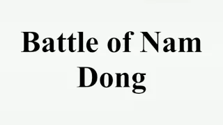 Battle of Nam Dong