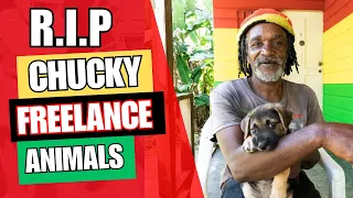 Freelance Chucky Passed Away Prematurely, But Who Will Care for His Animals Now?