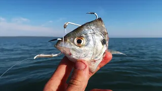 The Best Bait To Have While Fishing!?!