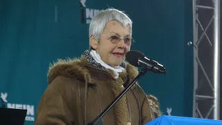 Gabriele Krone-Schmalz Rede 25 November 2023 Berlin Brandenburger Tor über Russland Ukraine