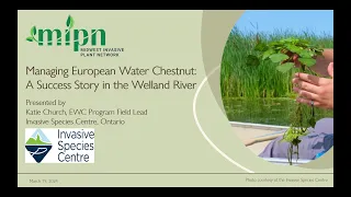 Managing European Water Chestnut: A Success Story in the Welland River