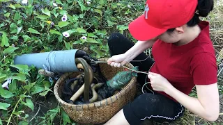 Unbelievable Experiment Oil Fishing | Unique Snake Trapping System Catch A Lot Of Snake in Fish-Hole