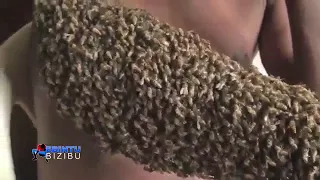 Africa Magic: Man's hands covered by bees after he stole a car from the owner
