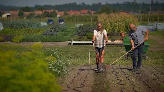 On a mission to save our soils - the EU's plan to rebuild the land