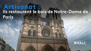 Artisanat : ils restaurent le bois de Notre-Dame de Paris