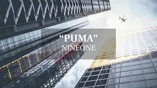 NINEONE - PUMA [歌词 lyrics - 中文Chinese/拼音Pinyin/English]