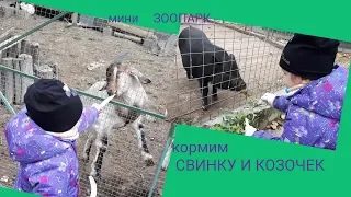 кормим СВИНКУ и КОЗОЧЕК