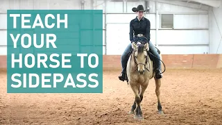 How to EASILY teach your horse to SIDEPASS
