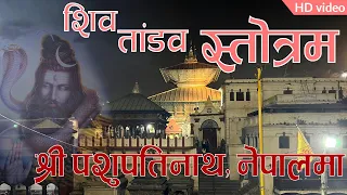 Shiva Tandav Strotam | Shree Pashupati Nath Aarati | पशुपतिमा शिव तांडव स्तोत्रम र साझको आरति