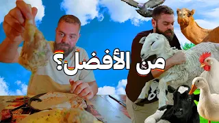 أكلت ٦ حيوانات في يوم واحد!! شو هي؟ ومن الأفضل؟