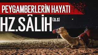 Hz.Salih'in (a.s) Hayâtı | İbrahim Soydan Erden