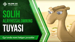 03. Solih alayhissalomning tuyasi (1-qism) | Qur'onda nomi kelgan jonzotlar