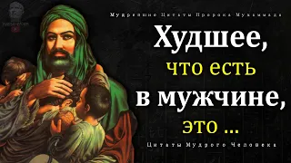 46 Великолепных Цитат Пророка Мухаммада, Которые нужно знать, Цитаты, Афоризмы, Изречения