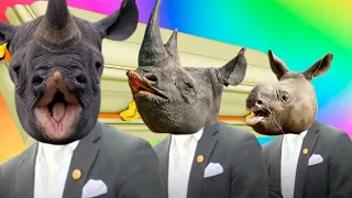 Funny Cute Rhinos - Coffin Dance Song *Part 4* (COVER)