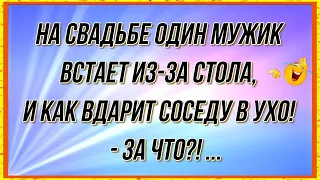 Какая свадьба без драки: ) Сборник Смешных, Свежих Анекдотов! Юмор! 482