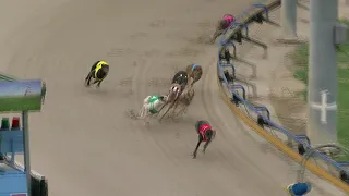 Ipswich-Thursday-02052024-Race-4