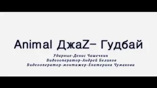 Goodbye (Animal ДжаZ drum cover)