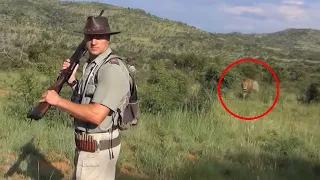 6 Scary Lion Encounters You Should Avoid Watching