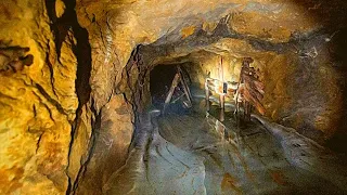 She Ventured Into This Shack In The Woods But Had No Idea It Concealed A Terrifying Mine Shaft