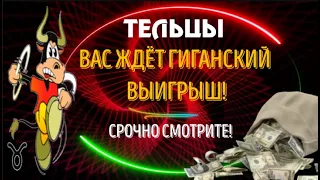 ♉ТЕЛЬЦЫ! ВАС ЖДЁТ ГИГАНСКИЙ ВЫИГРЫШ! ТАКОЙ УДАЧИ НЕБЫЛО НИКОГДА!