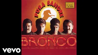 Bronco - Amor Salvaje (Cover Audio)