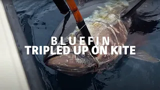 Big Bluefin Tuna - Triple At Once