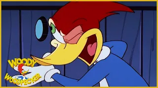 Woody Woodpecker Show | Eanie Meany Out You Go| Full Episode | Videos For Kids