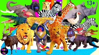 Animals - Lion Elephant Zebra Cheetah Giraffe Crocodile Rhino Mandrill Serval Bongo Birds 13+