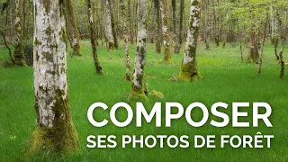 Composer ses photos de forêt