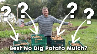 Which Mulch is Best for Growing Potatoes? - Ultimate Mulch Test