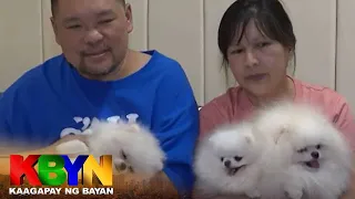 KBYN: Pomeranians nakatulong sa kondisyon ng lalaking na-stroke