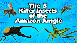 The  5 Killer insects of the Amazon jungle